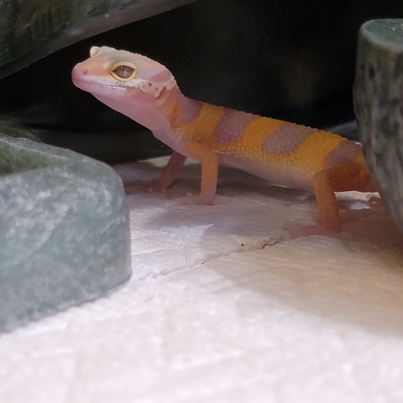 Too shy to make an offer? - Picture 3 of 10